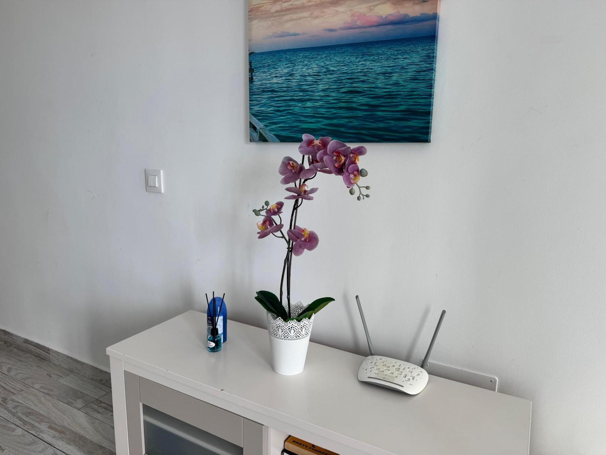 Stunning Apartments With Pool Tenerife أذيخي المظهر الخارجي الصورة