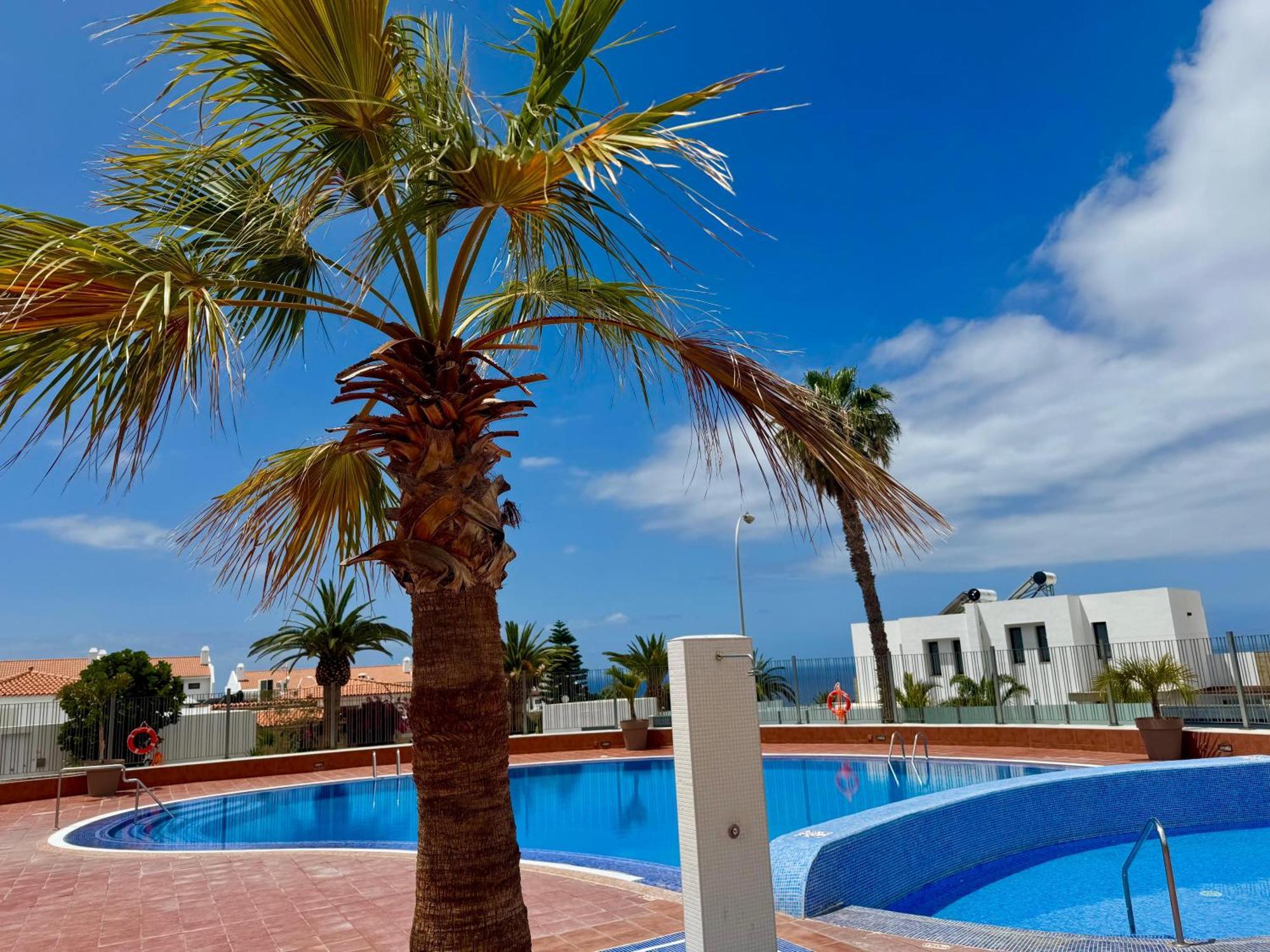 Stunning Apartments With Pool Tenerife أذيخي المظهر الخارجي الصورة